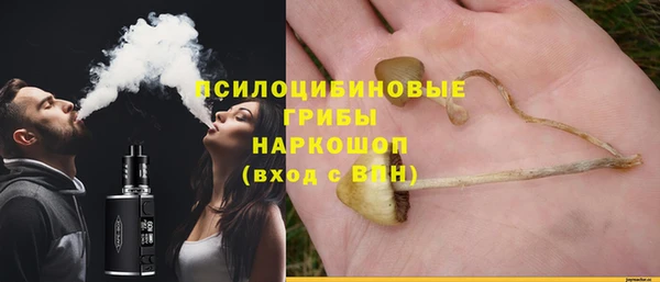 spice Аркадак