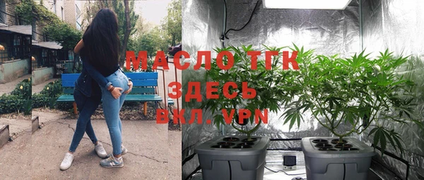 мет Няндома