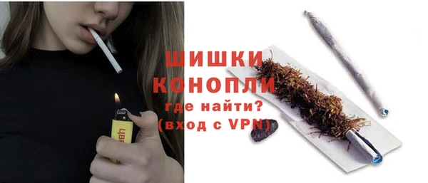 spice Аркадак